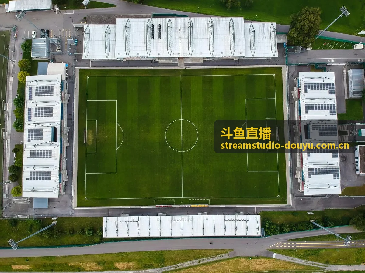 斗鱼直播粉丝互动打榜画面